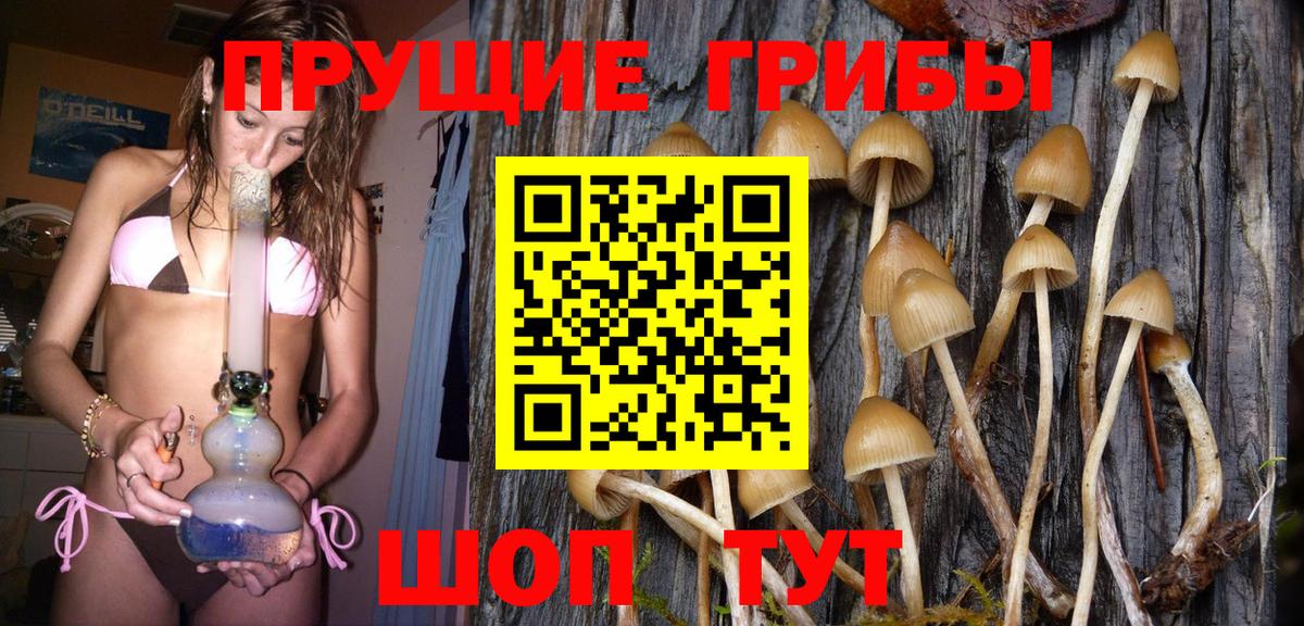 Галлюциногенные грибы ЛСД Ефремов
