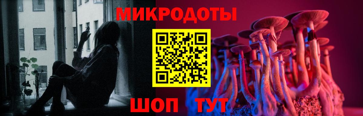 где можно купить   Галлюциногенные грибы прущие грибы  Вход с VPN  Псилоцибиновые грибы Cubensis  Ефремов 
